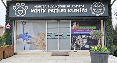 Minik Patiler Kliniği’nde Kısırlaştırılan Kedi Sayısı 3 Bini Geçti
